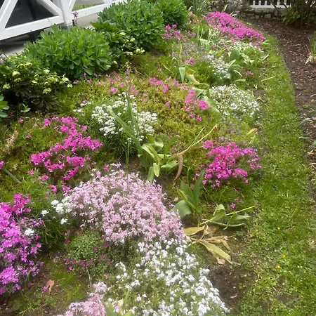 Willa Kaliniec Homestay