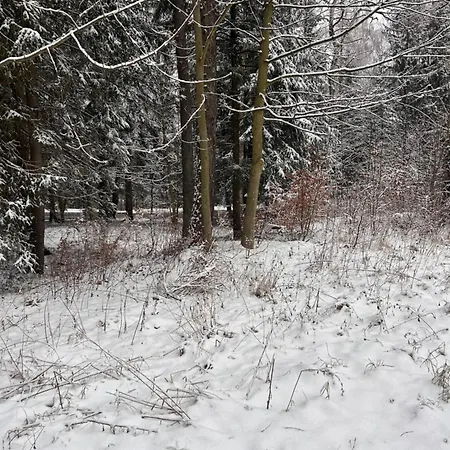 Kaliniec * カルパッチ