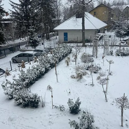 Kaliniec * カルパッチ