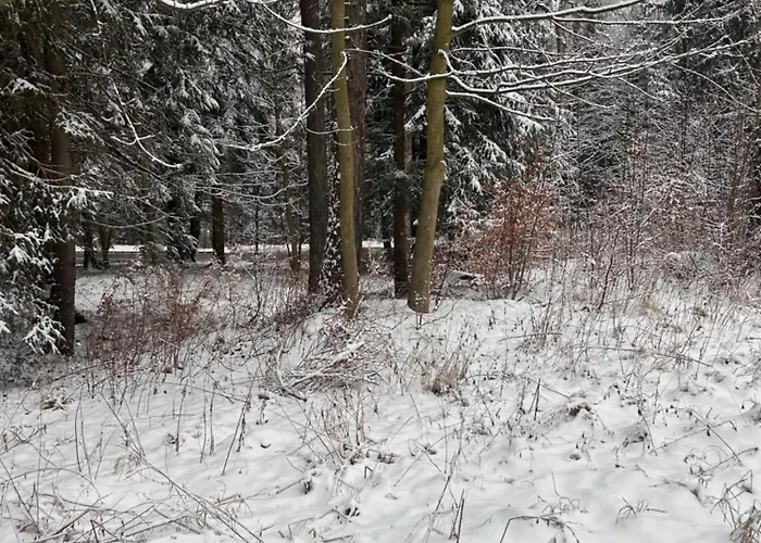 Kaliniec * 카르파츠