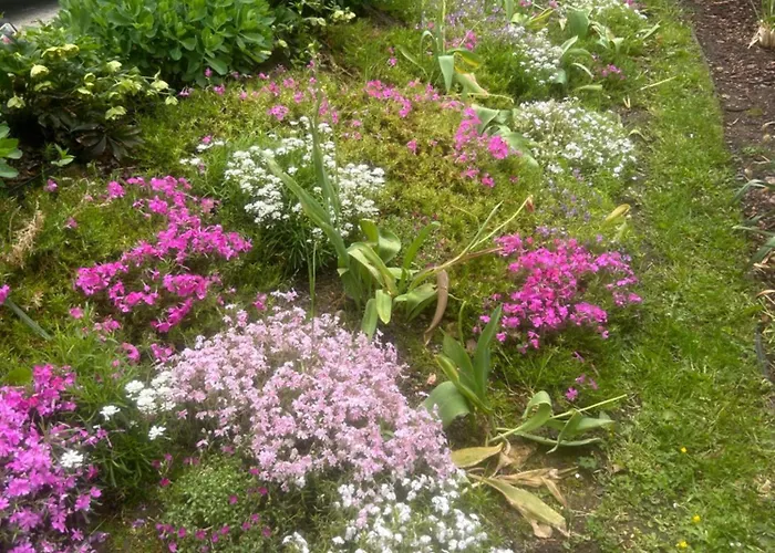 Kaliniec 홈스테이