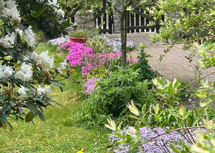 Kaliniec 카르파츠